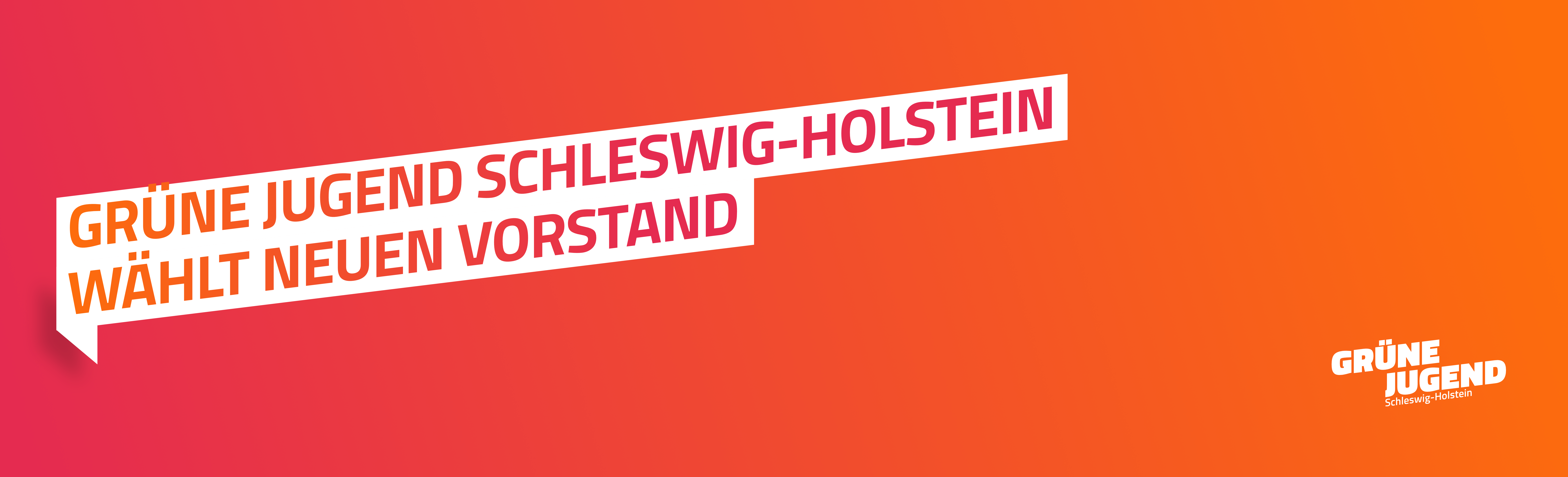 Grüne Jugend Schleswig-Holstein wählt neuen Vorstand